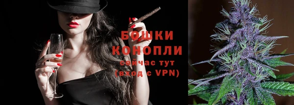 стаф Новодвинск