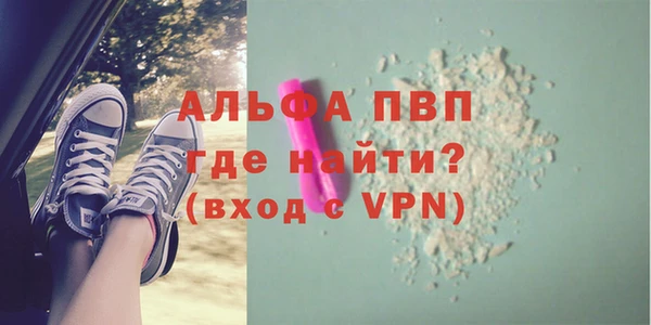 ECSTASY Новозыбков