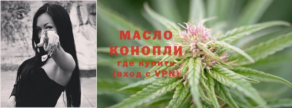 стаф Новодвинск