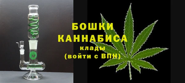 ECSTASY Новозыбков
