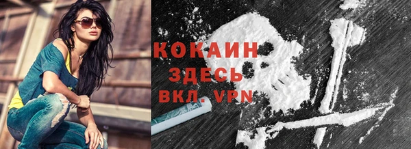 ECSTASY Новозыбков