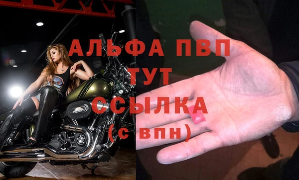 ECSTASY Новозыбков