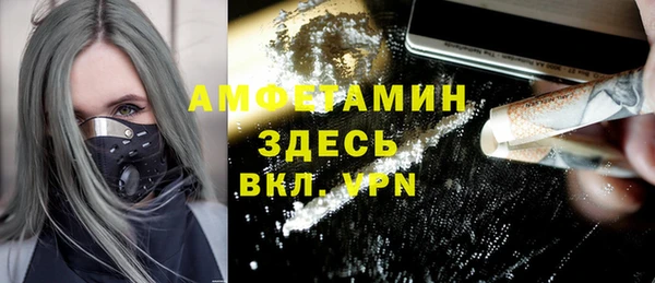 стаф Новодвинск