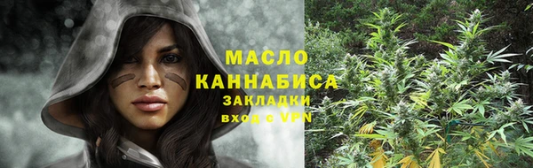 стаф Новодвинск