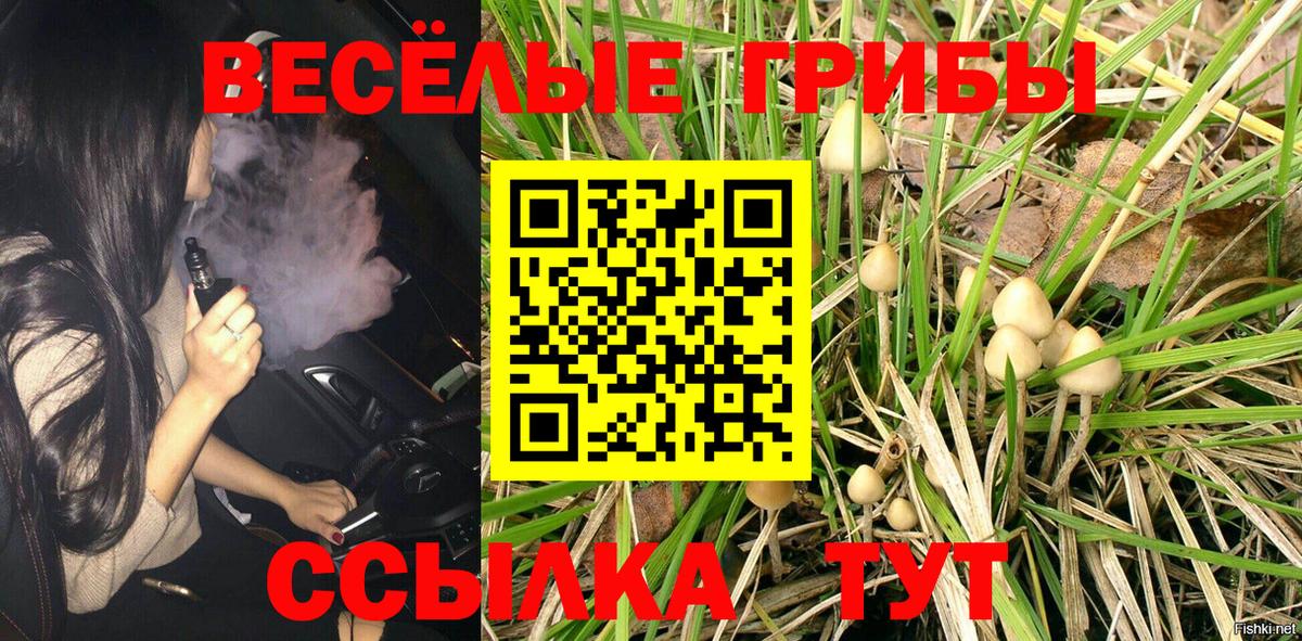 Псилоцибиновые грибы Psilocybine cubensis  Псилоцибиновые грибы GOLDEN TEACHER  Миасс  купить   Вход с VPN 