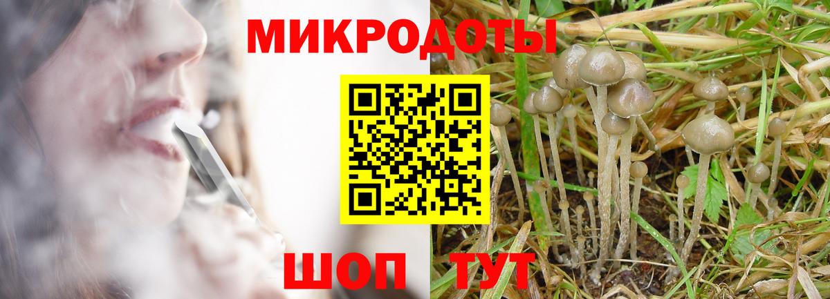 Псилоцибиновые грибы ЛСД  Псилоцибиновые грибы Psilocybine cubensis  купить закладку  Миасс 